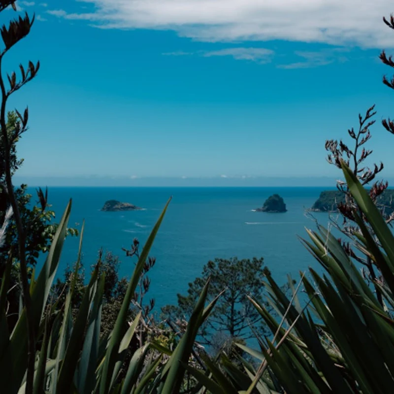 

iFlight Defender 20 Lite O4 FPV Frame Kit 87mm Wheelbase 2inch Propeller Guards for FPV Racing Drone Parts