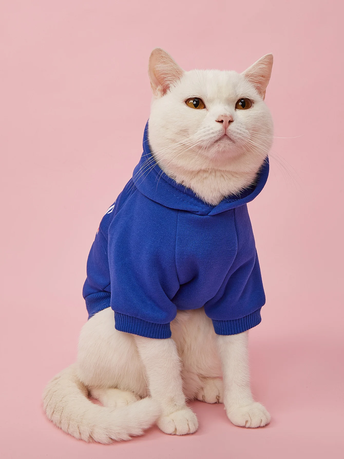 Pet Clothes for Dog Cat Puppy Hoodies Coat MOMMY\'S BOY Sweatshirt Dog Outfits for Small Medium Dog Cat