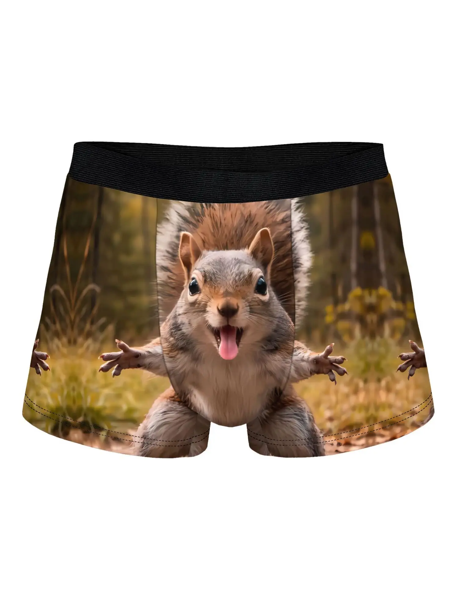 2D Print Design Squirrel Playful Pose Whimsical Design Men'S Novel Boxer Underwear, Fashion Design, Comfortable Polyester