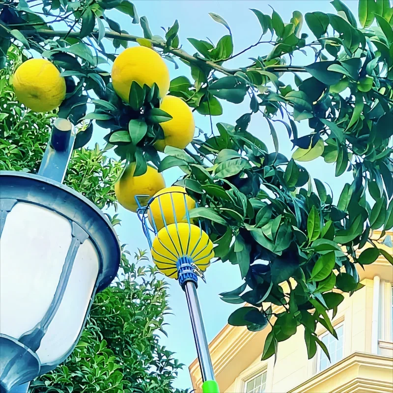 

Складной инструмент для сбора фруктов из нержавеющей стали, портативный уличный прибор для сбора урожая на высоте, для сада