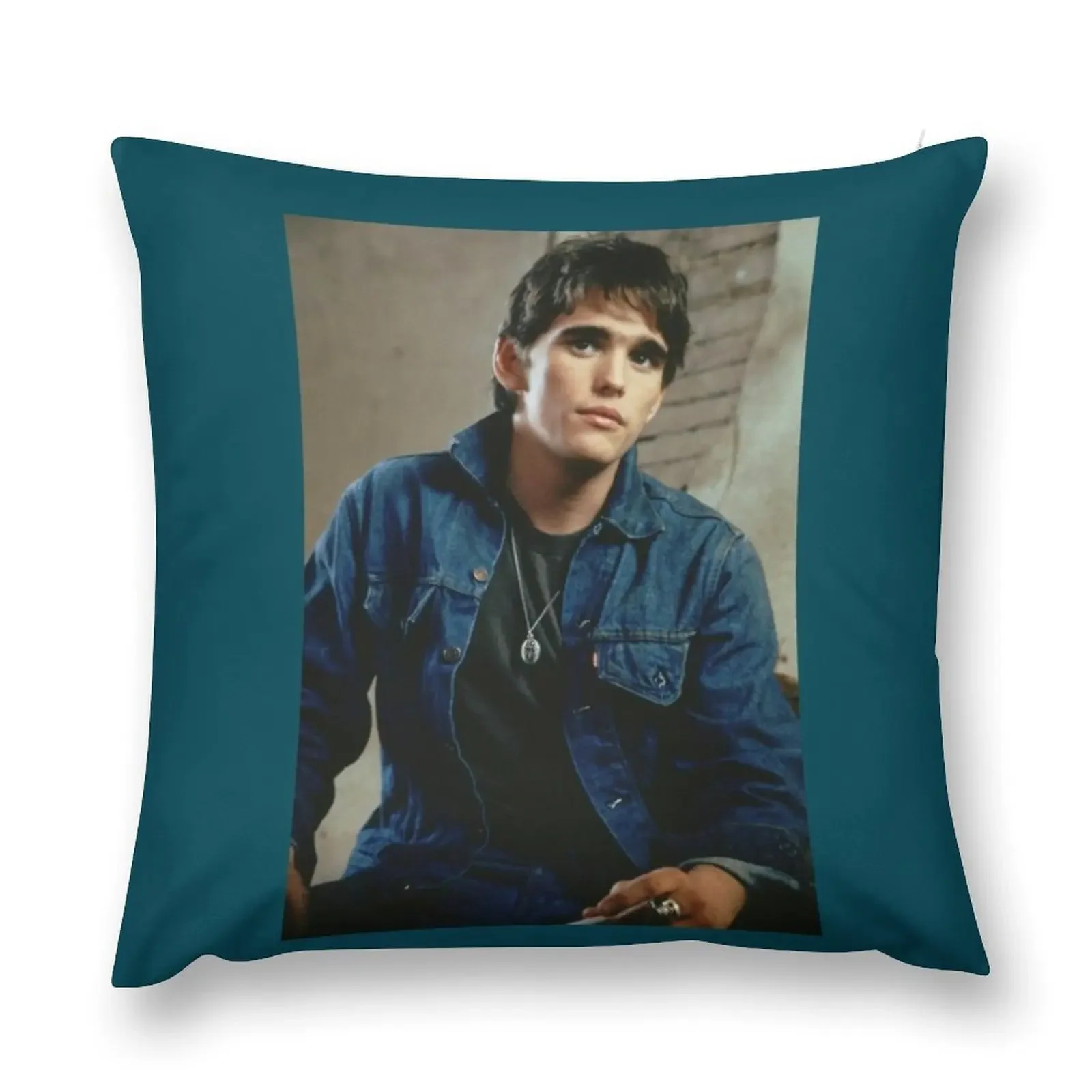 Dally Winston Throw Pillow Embroidered Cushion Cover Decorative pillow case pillow