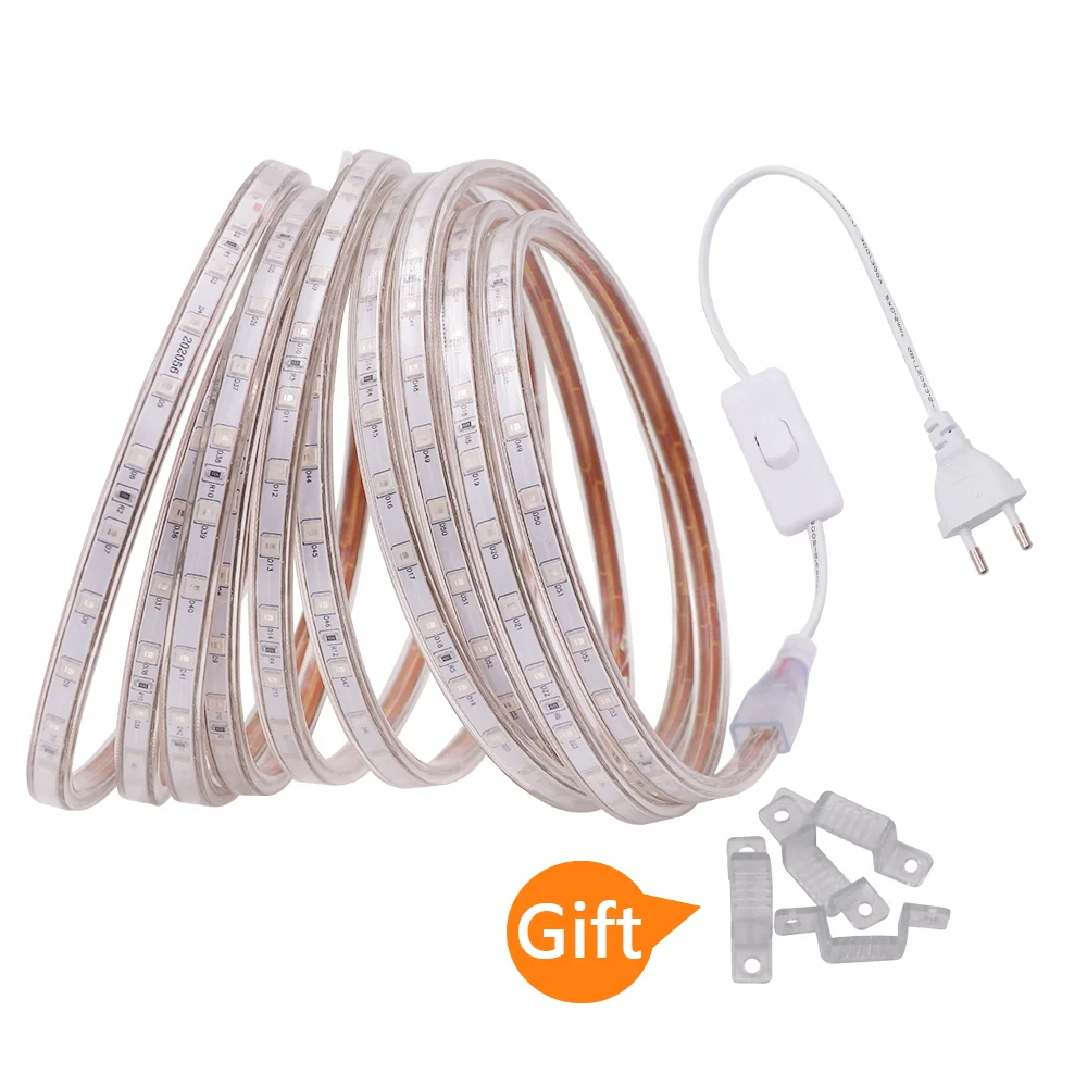 220V LED Strip with OFF/ON Switch 5050 SMD 60Leds/m Flexible Diode Tape Outdoor Waterproof Ribbon Rope White/Warm White/Blue