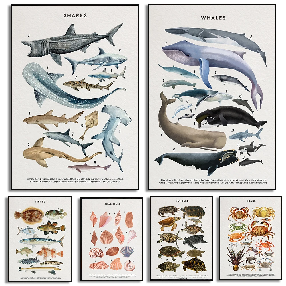 (No frame)Whale and Shark Seashells Turtles Octopus Fish Marine Life Ocean Animals Poster Canvas Painting Wall Art Pictures H