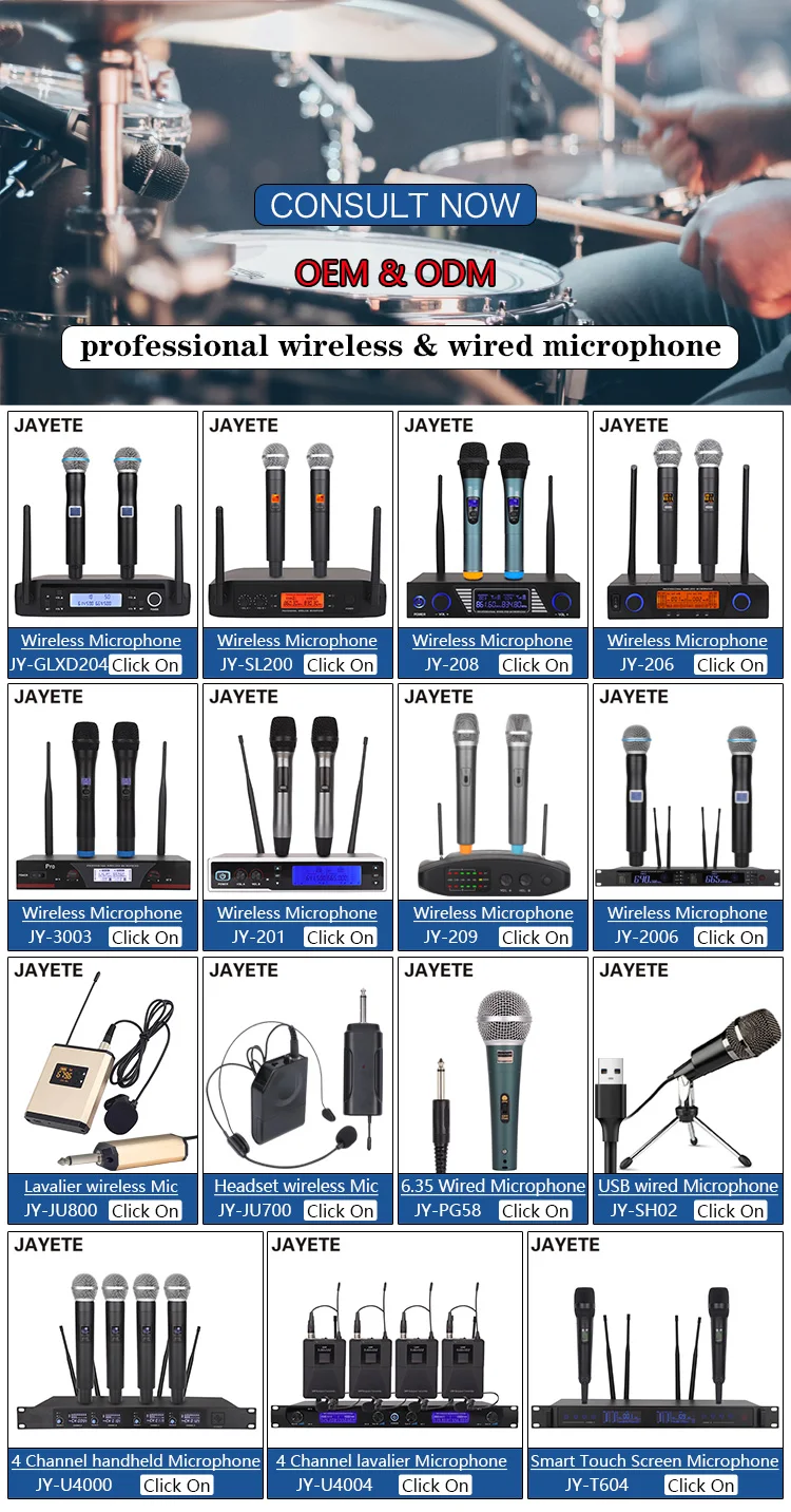 Professional Handheld Head Wireless Microphone