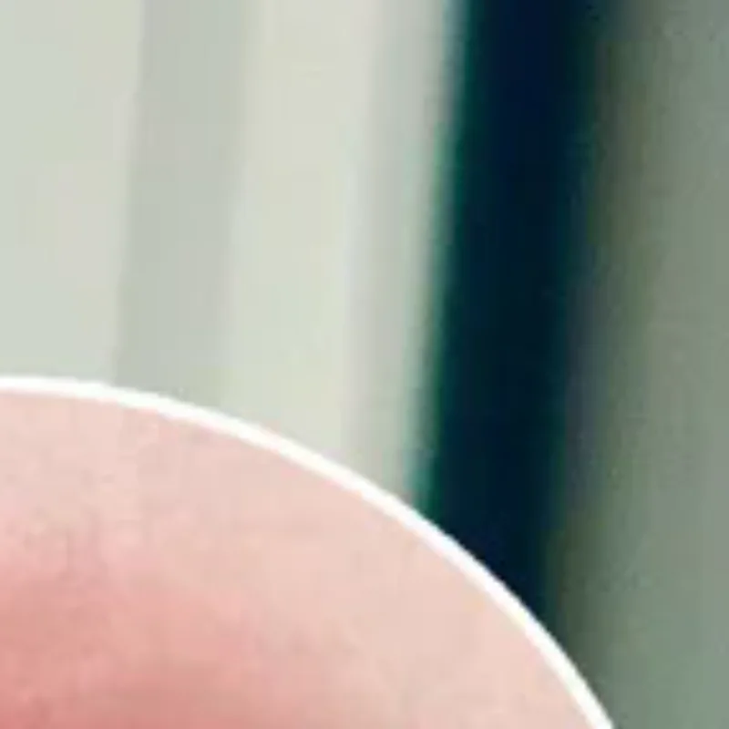 Brilho labial de veludo sedoso, lama labial fosca, à prova d'água, copo antiaderente, à prova de manchas, não desbota, batom líquido, maquiagem feminina