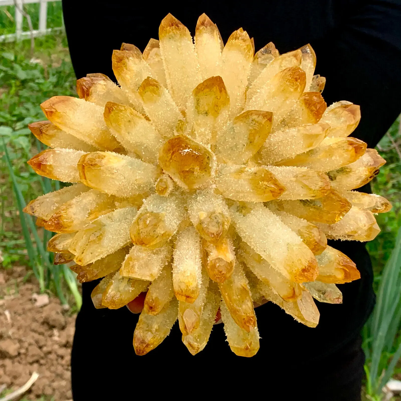 

Beatiful yellow Tibetan Quartz Crystal Cluster Specimen Healing