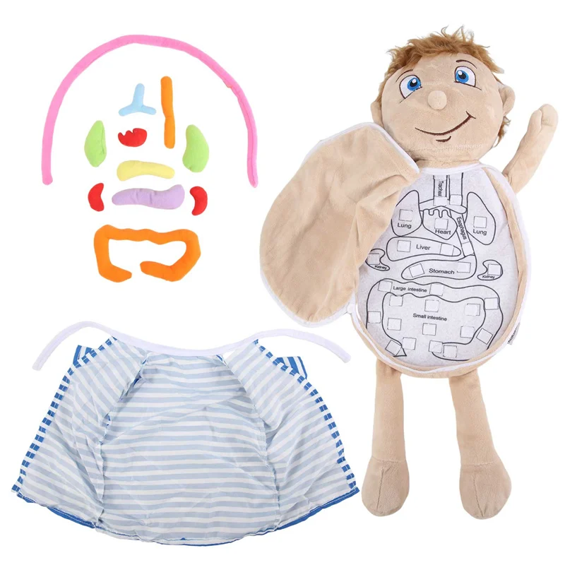 YSUN-Kids Assembled Plush Body Organs Human Body Anatomy Plush Science Teaching Aids Tool Educational