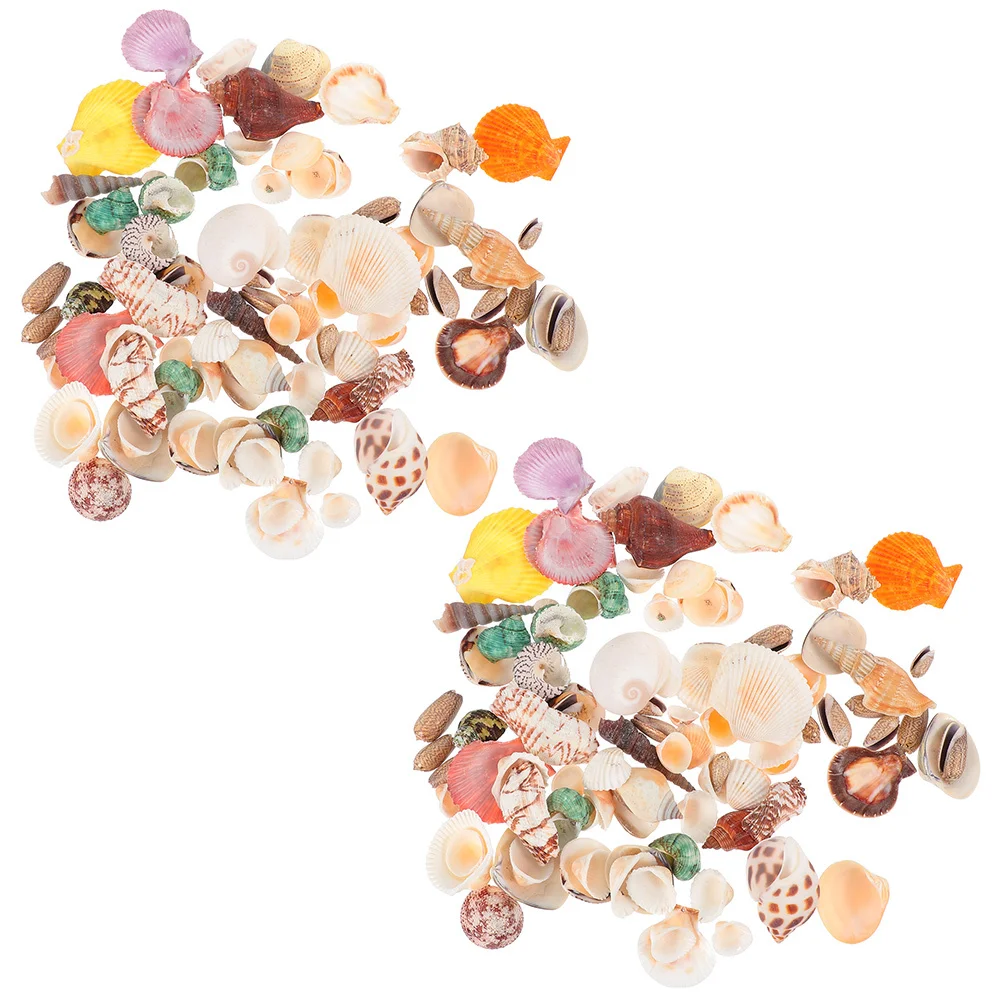 

160Pcs Sea Conch Shells Natural Decorative Shells Fish Tank Landscaping DIY Craft Kits Delicate Conch Ornaments