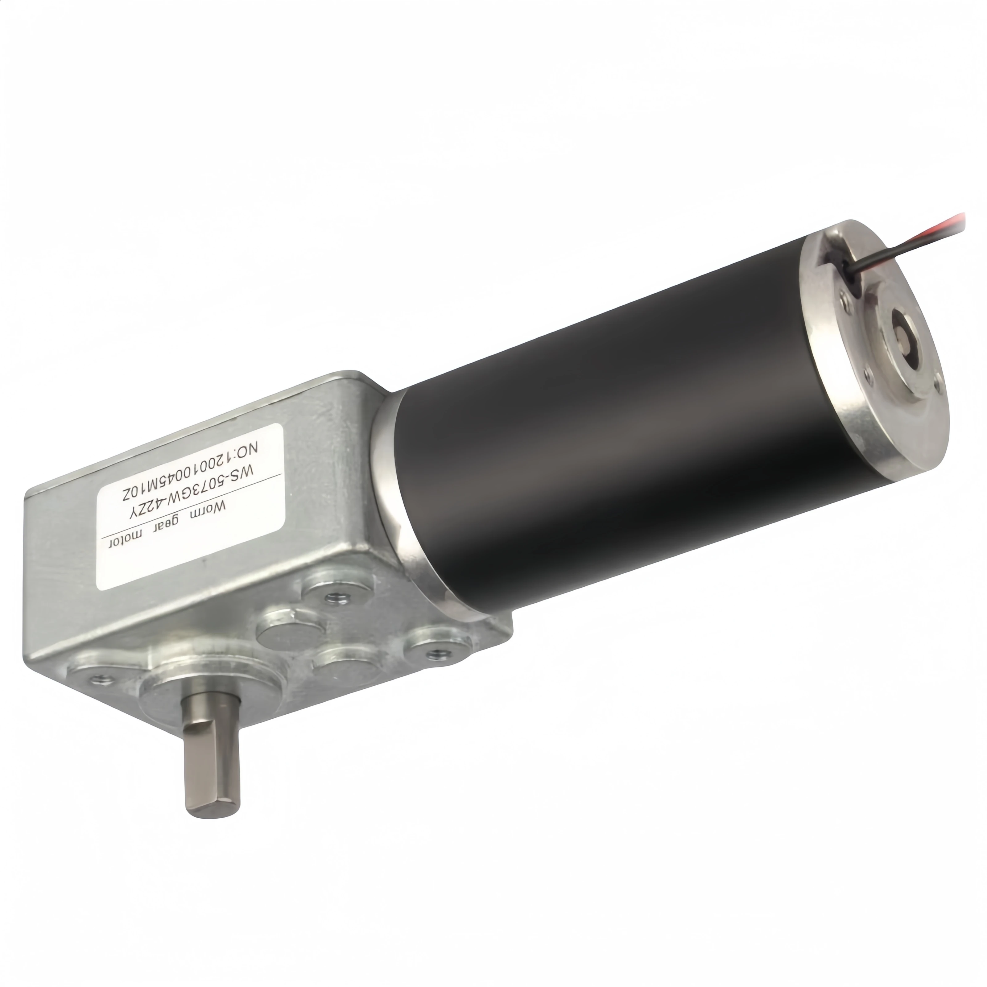 DC reduction motor Dear small motor High torque self-locking motor WS-5073GW-42XY-DC-12V-20rmp