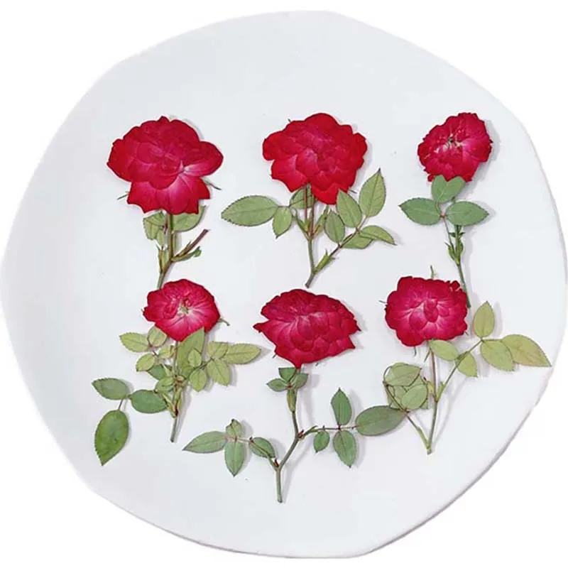 5~7CM Real Dried Mini Roses Pressed Rose Flowers Branches,Drip Glue Nail Art Flower Press,DIY Craft Resin Jewellery,Bookmarks