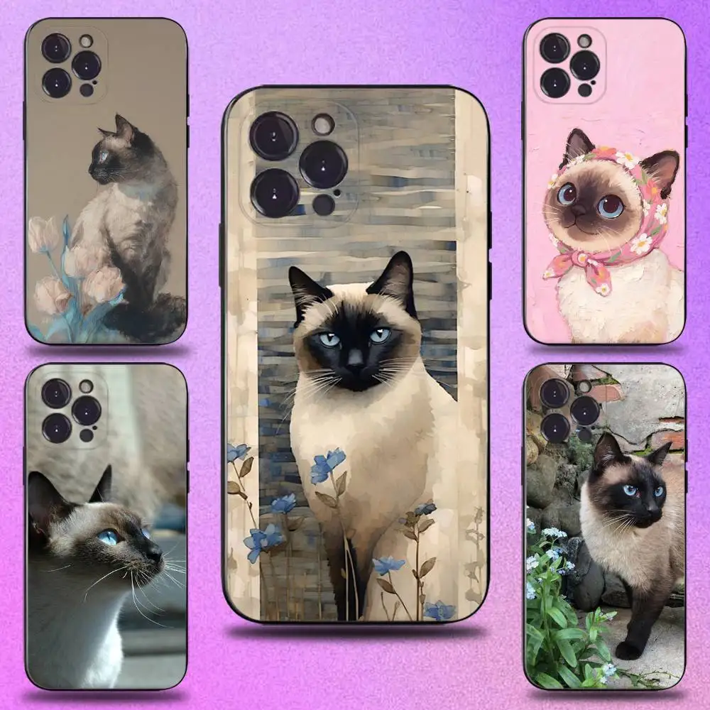 S-Siamese Cat Cute …
