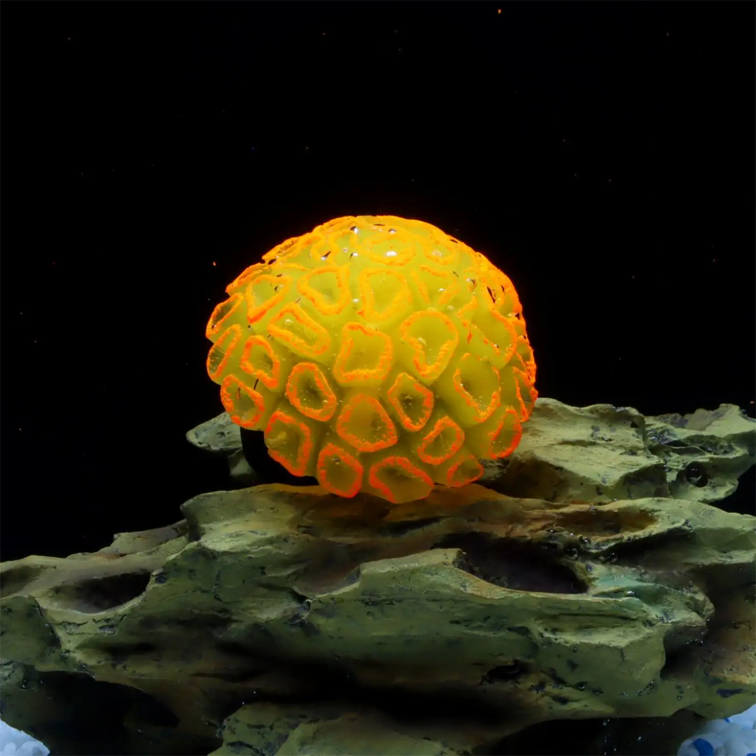 1 Piece Realistic Fake Fluorescent Brain Coral Decoration - Vibrant Glowing Artificial Coral Decoration for Aquarium Fish Tank -