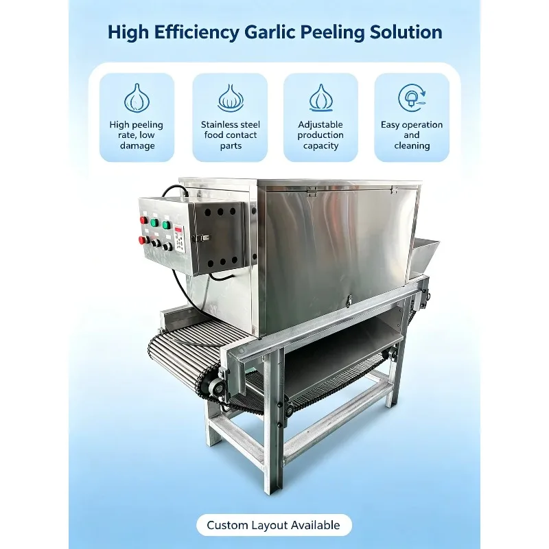 Customized Garlic Skin Remover Garlic Clove Separator Machine Garlic Peeling Production Line