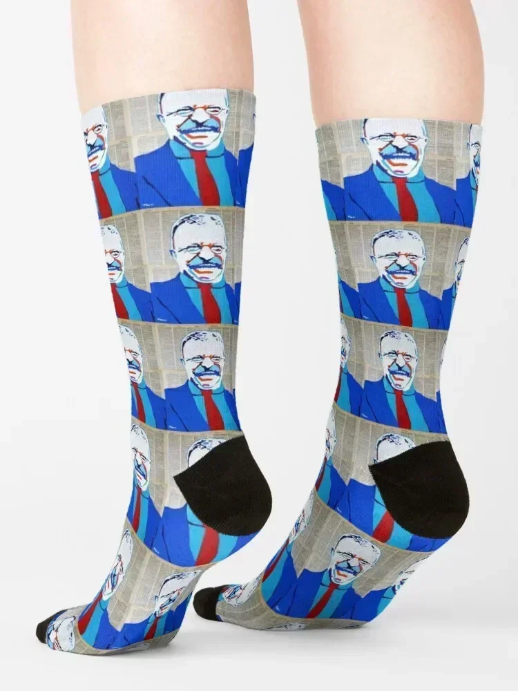 Teddy Roosevelt Socks hiphop summer Novelties winter gifts Designer Man Socks Women's
