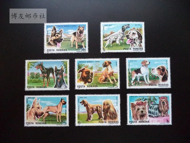 رومانيا بريد طوابع البريد Y1990 كلب أليف عرض الكلب الدولي مجموعة كاملة 8 طوابع بريدية قابلة للجمع المواد لسكرابوكينغ