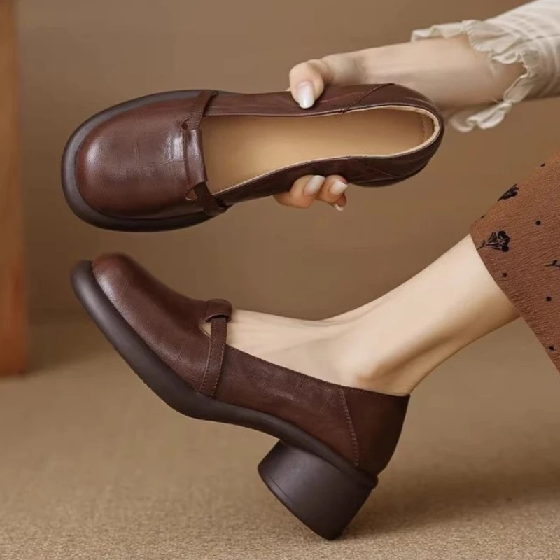Women's Mary Jane Straps Shoes Platform Sole Low Cut Loafer Vintage for 2026 Autumn Chunky Heel