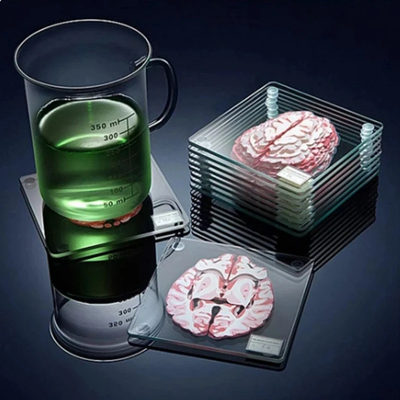 Brain Specimen Coasters Set 3D Organ Brain Artwork Brain Slices Square Acrylic Drinks Table Coaster