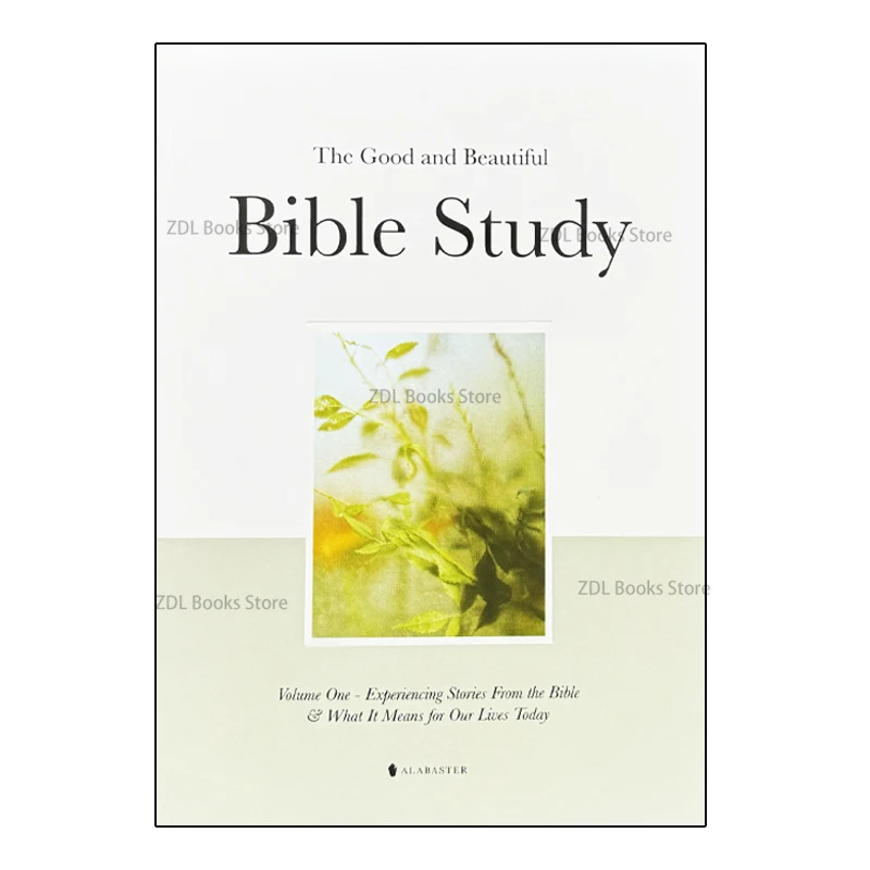 

The Good And Beautiful Bible Study: Experiencing Stories From The Bible And What It Means For Our Lives Today