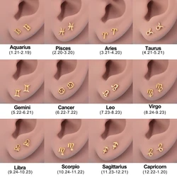 2pcs Zodiac Stud Earrings 12 Constellation Astrology Stainless Steel Tiny Ear Stud for Women Men Teen Girls Fashion Jewelry Gift