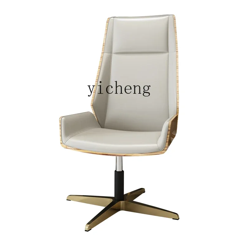 ZC Office Chair Computer Chair Simple Stainless Steel Study Home Chair Swivel Chair Lifting Executive Chair