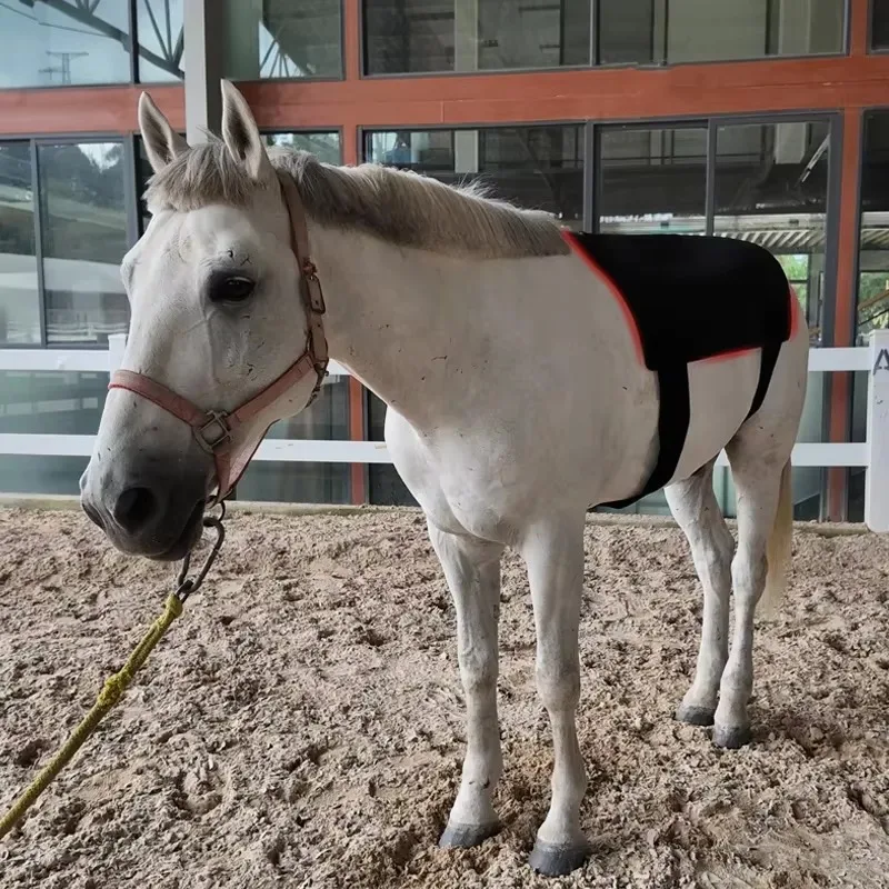 2026 Infrared Red Light Therapy 660nm 850nm Horse Pad Red Horse Blankets Equine Light Therapy Horse Rug for Animal Care