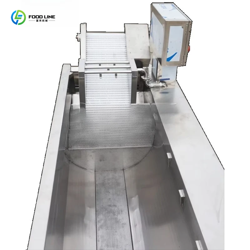 Customized Semi Automatic Hot Salad Washer High Quality Fruit Bubble Washer Vegetable Washer Automatic Programmable Controller