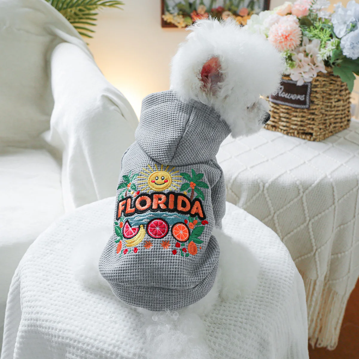 1PC Pet Clothing Spring and Autumn Grey Sweet Orange Florida Hat Coat Suitable for Small and Medium sized Dogs