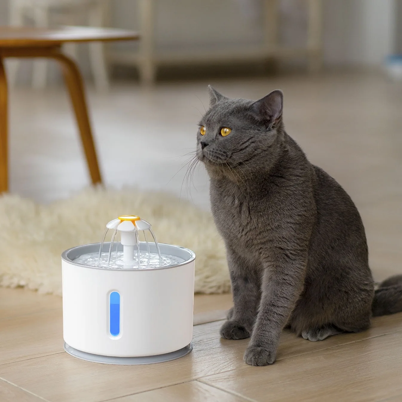 Stainless Steel Cat Water Fountain Feeder  Flower Round Fountain 2.4L Pet Cat Silent Water Dispenser DC Water Pump LED