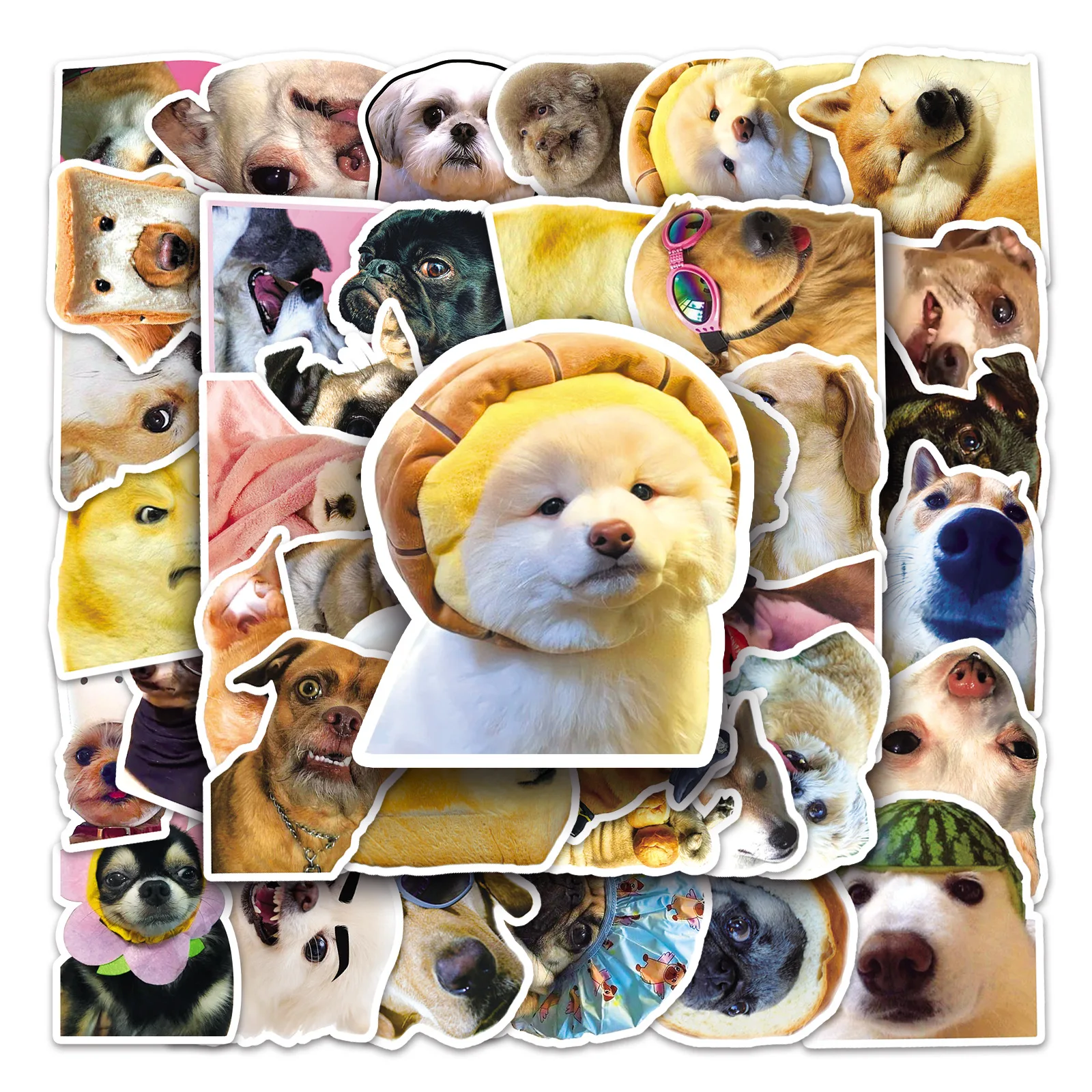 10/30/50pcs Dog Funny Graffiti Sticker Cute Animal Scrapbook Diy Mobile Phone Laptop Water Cup Waterproof Decal Decor Sticker