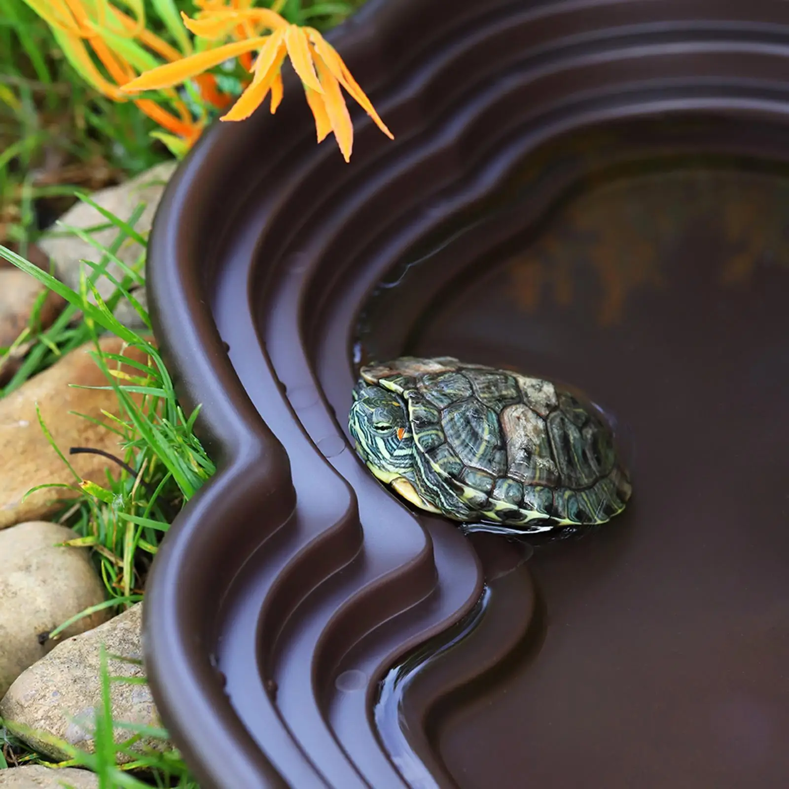 

Миска для кормления рептилий, тазик для купания рептилий, бассейн для рептилий, чаша для воды для рептилий