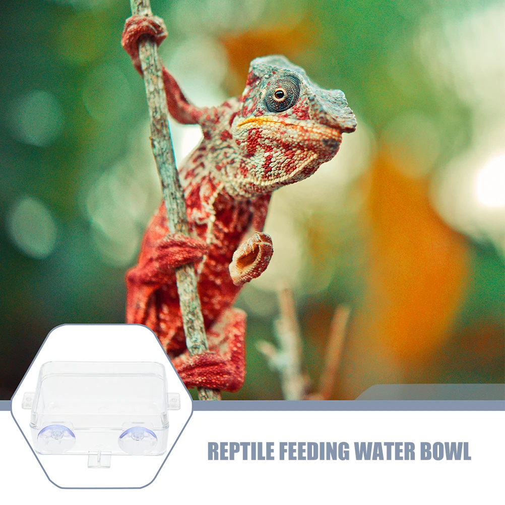 

Reptile Anti Escape Feeder Chameleon Bowl Mesh Cage Bearded Dragon Ledge Fall Snake Cups Plastic Accessories Reptile Feeding