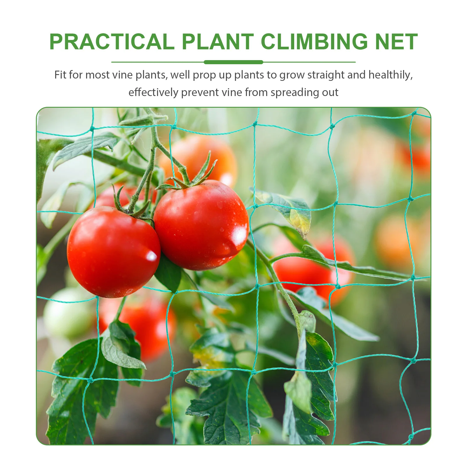 

Netting Gardening and Climbing Network Vines Trellis for Vegetables Indoor Plant Polyethylene Nets