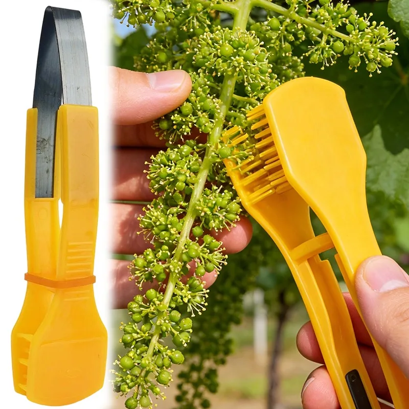 Grape Pruning Tool Fruit Thinning Comb Vineyard Harvest Tool Handheld Grape Cluster Trimmer for Garden Farming Blueberry Pruners