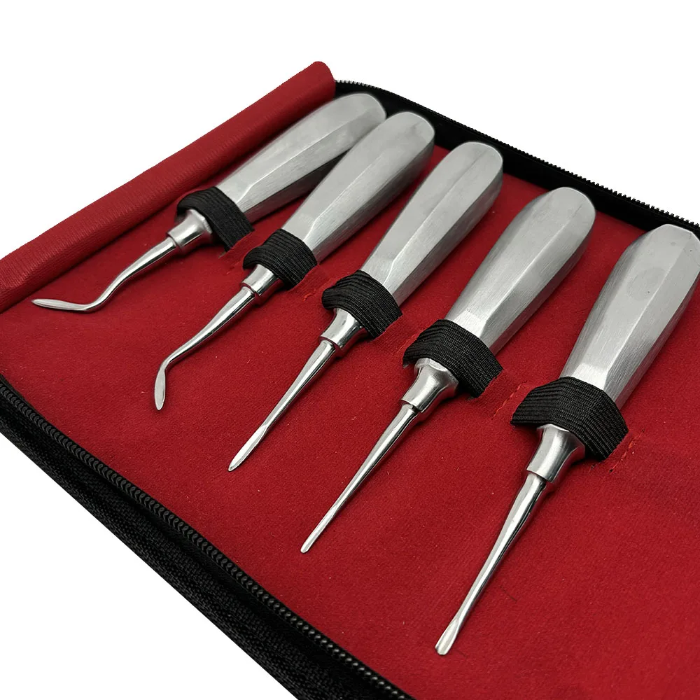 Kit de elevador de extração de aço inoxidável dental de 10 pces-elevadores de raiz reta e curvada para dentistas e laboratórios dentários