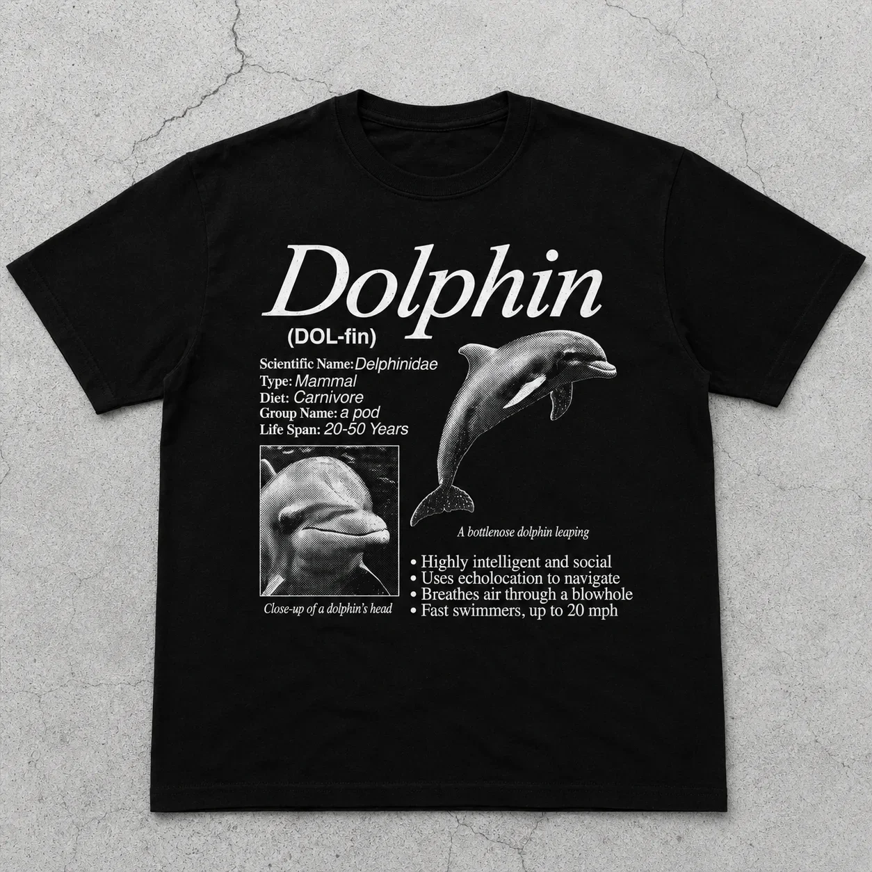 Dolphin Vintage 90s Graphic T-Shirt Retro Ocean Mammal Facts Tee Funny Marine Biology Shirt Unique Sea Creature Gift Nature Top