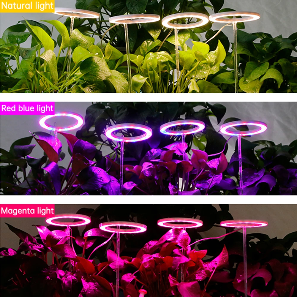 Angel Four Ring Growth Light 5V USB Plant Light LED Full Spectrum Indoor Plant Seedling Household Flower Seedling Light
