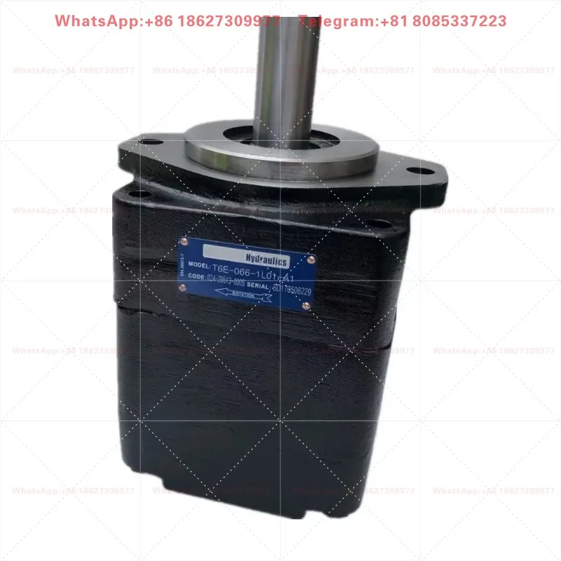 T6 Series T6E-066-1L01-A1 Hydraulic Pumps Small Quantitative High Flow Vane Pump