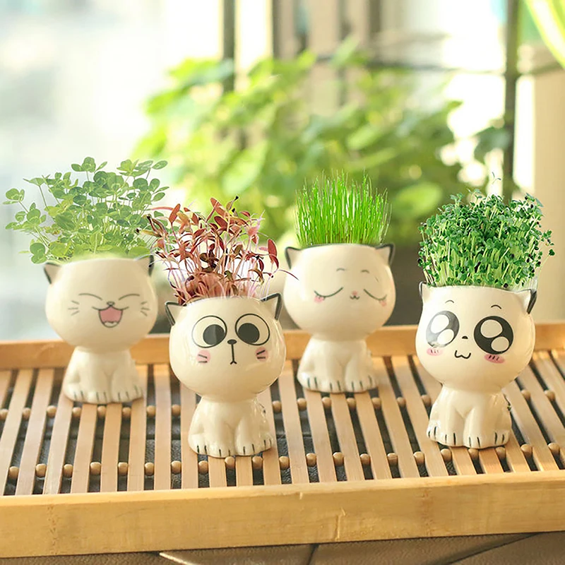 1pc Ceramic Flowerpot Mini Cat Cartoon Cute Plant Desktop Potted Plant Pot Science Education Gifts Including Seed Planting Soil