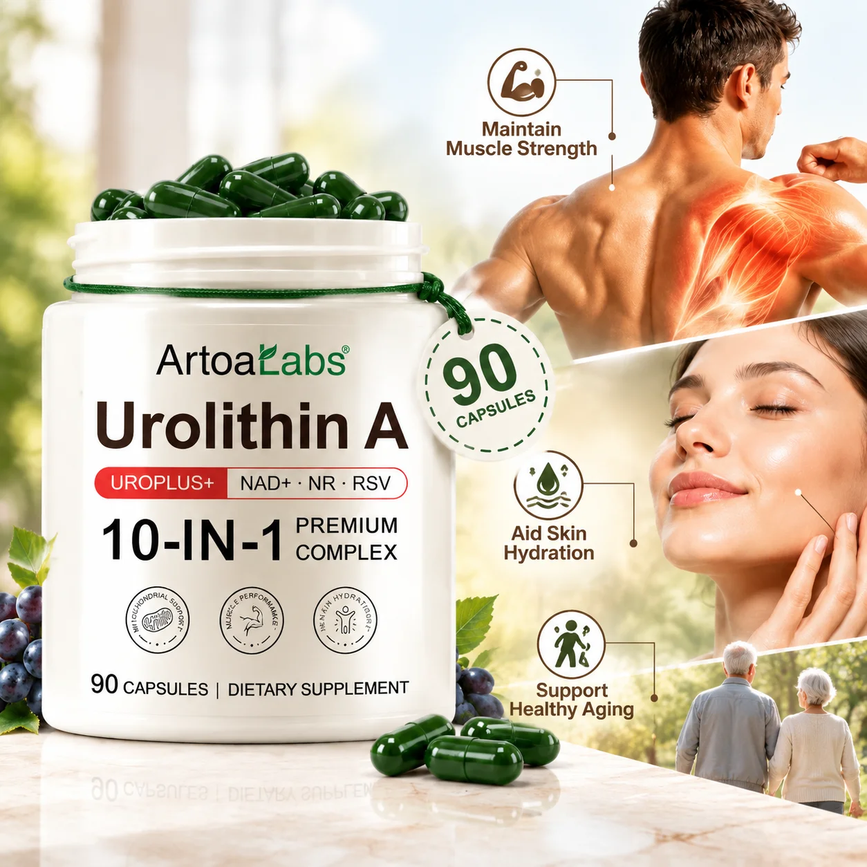 Urolithin A Capsules Maintain Muscle Function Aid Skin Hydration Aid Healthy Aging with NAD+ NR Resveratrol Collagen 90 Capsules