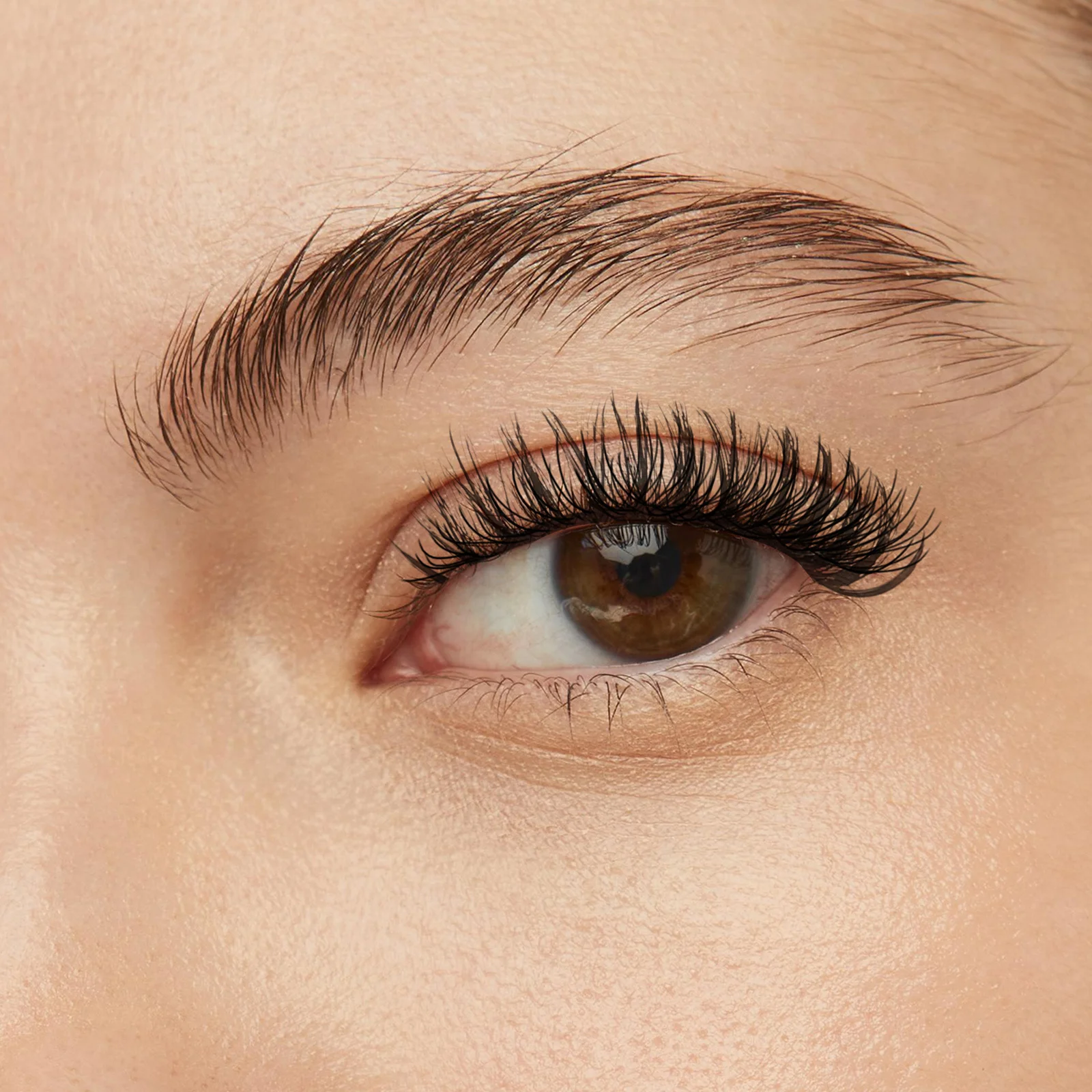 

False Eyelashes Cat Eye Strip Lashes For Makeup False Eyelashes Lashes Daily Wear Party Performance
