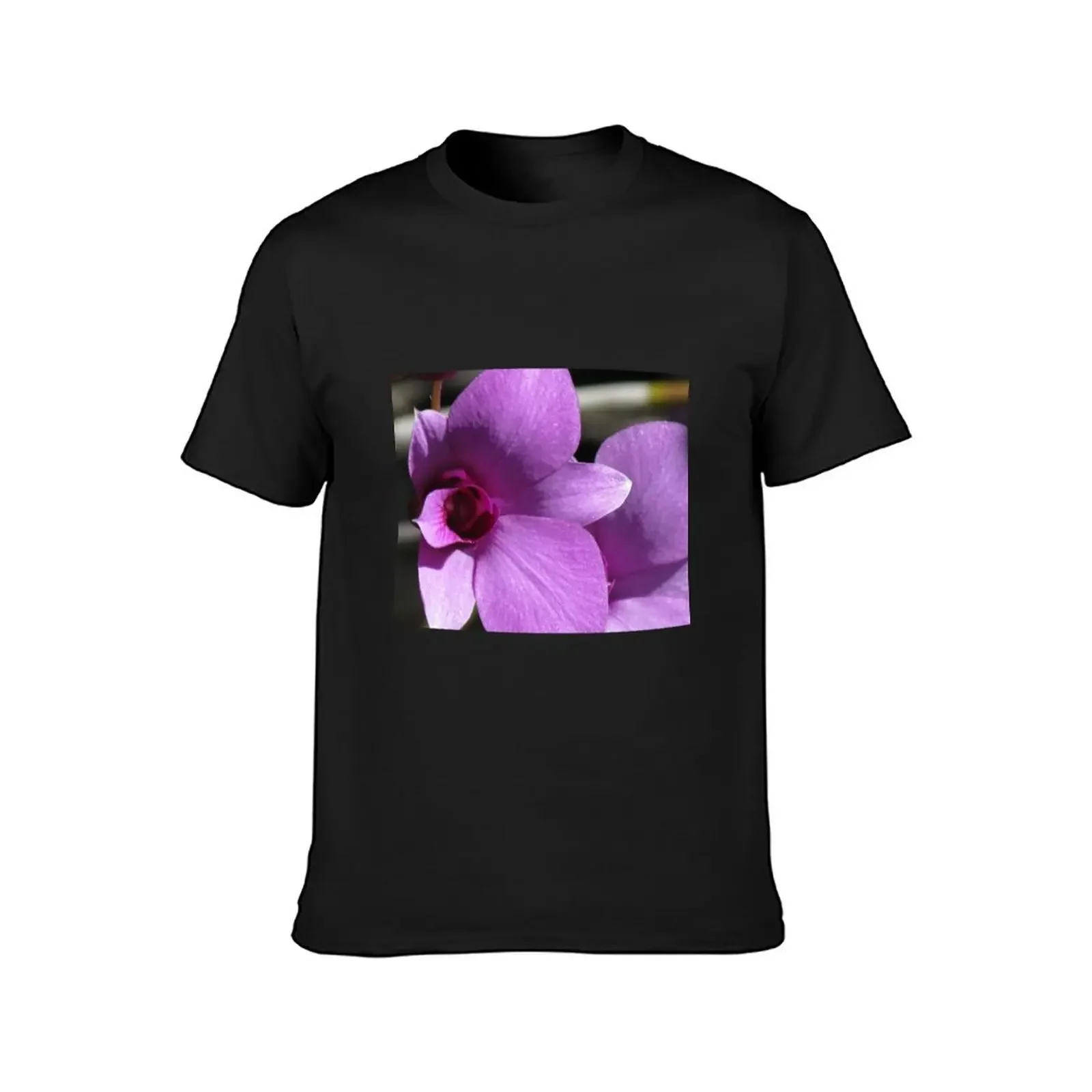 Cooktown Orchid (Dendrobium bigibbum) T-Shirt man t shirt korean fashion t shirt men 100℅ cotton