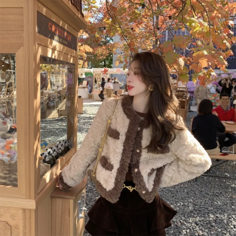 Women's Luxury Imitation Lamb Wool Short Coat Autumn Winter 2026 Korean Style Loose Elegant Fur Casual Outwear Warm Jacket