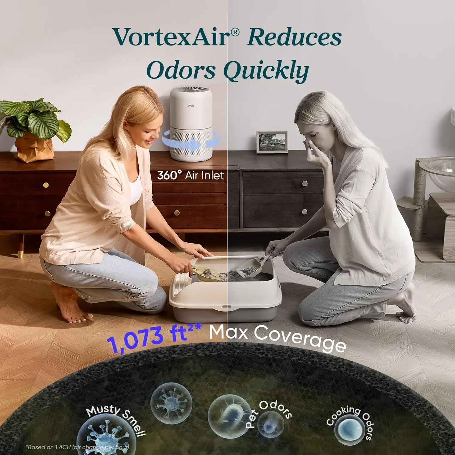 Clean Air Purifier