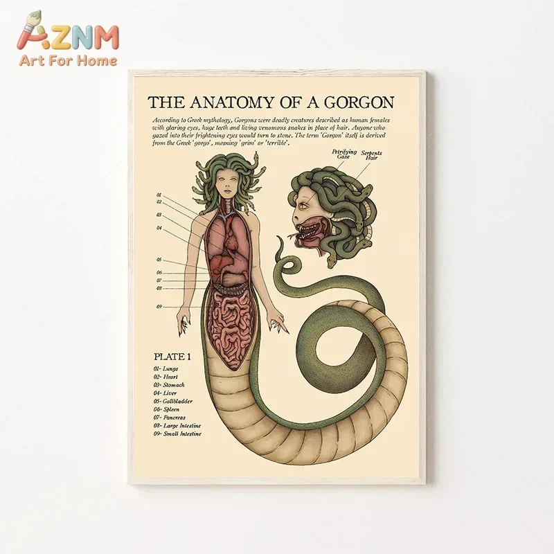 AZNM Vintage Mythical Creature Anatomy Mermaid Medusa Sphinx Frameless Canvas Poster Gothic Wall Art Decor