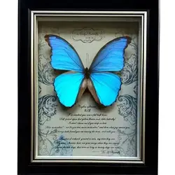 Real butterfly specimen photo frame insect real specimen teaching home decoration wedding birthday gift  home accessories