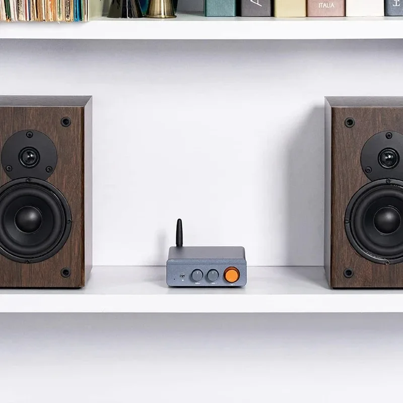 Replaceable Volume Knobs for The BT20A PRO, BT30D PRO, TB10D, BT20A and BT30D Amplifier