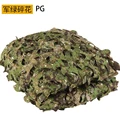 PG