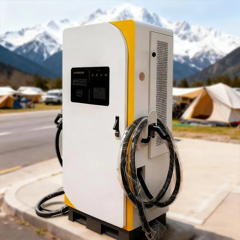 200kw DC*1 OCPP Fast Car EV Charger Station New Energy Charging Pile with CCS2 Dual Guns Floor-Mounted Charging Piles
