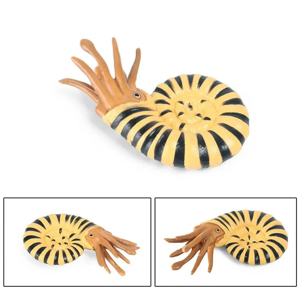 

Cephalaspis Prehistoric Ocean Animal Figure Nautilus Simulation Marine Life Figurines Anomalocaris Ancient Trilobite Figure