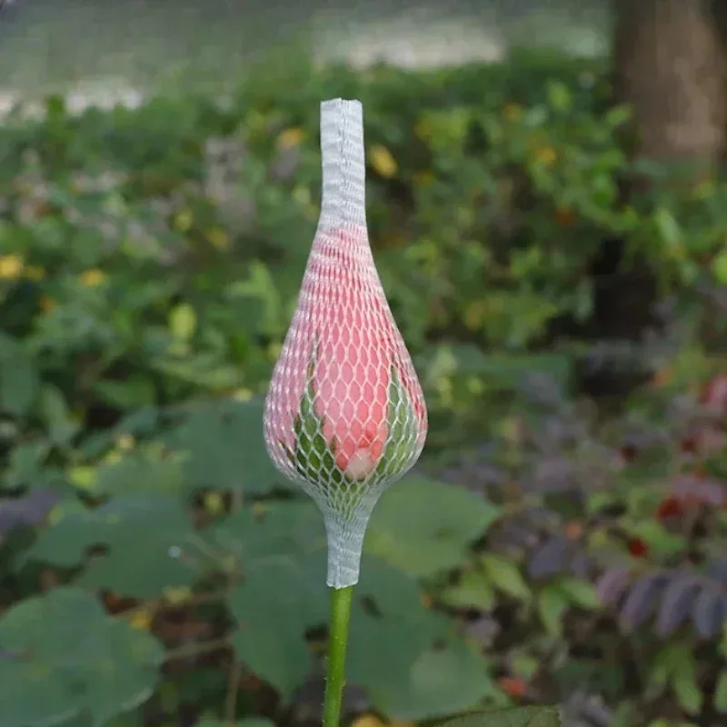 1kg Roses Plastic Baohua Net Flower Bud Mesh Sleeve Flowers Makeup Brush Protective Sleeve Flower Bud Stereotype Flower Cover